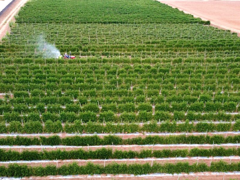 Landscaping Jobs in USA with Visa Sponsorship